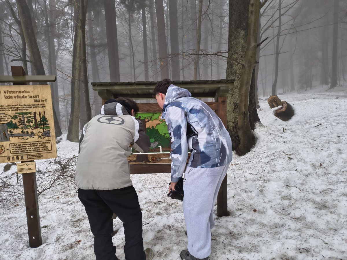 8b13a866 0078 4395 b040 6a7a171bb73e