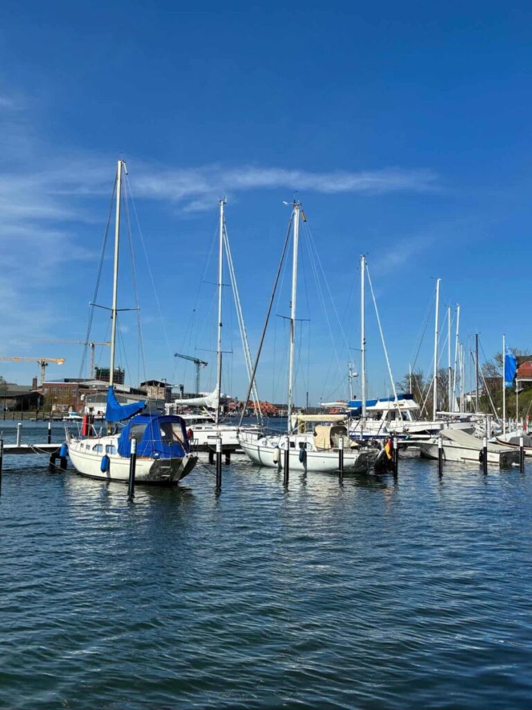 2D26C9ED 3B93 46EB A415 72DAD7564A92