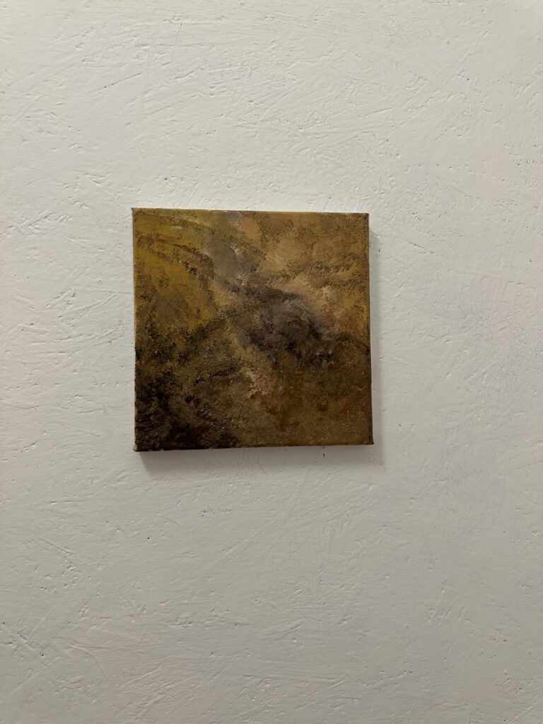 IMG 0239