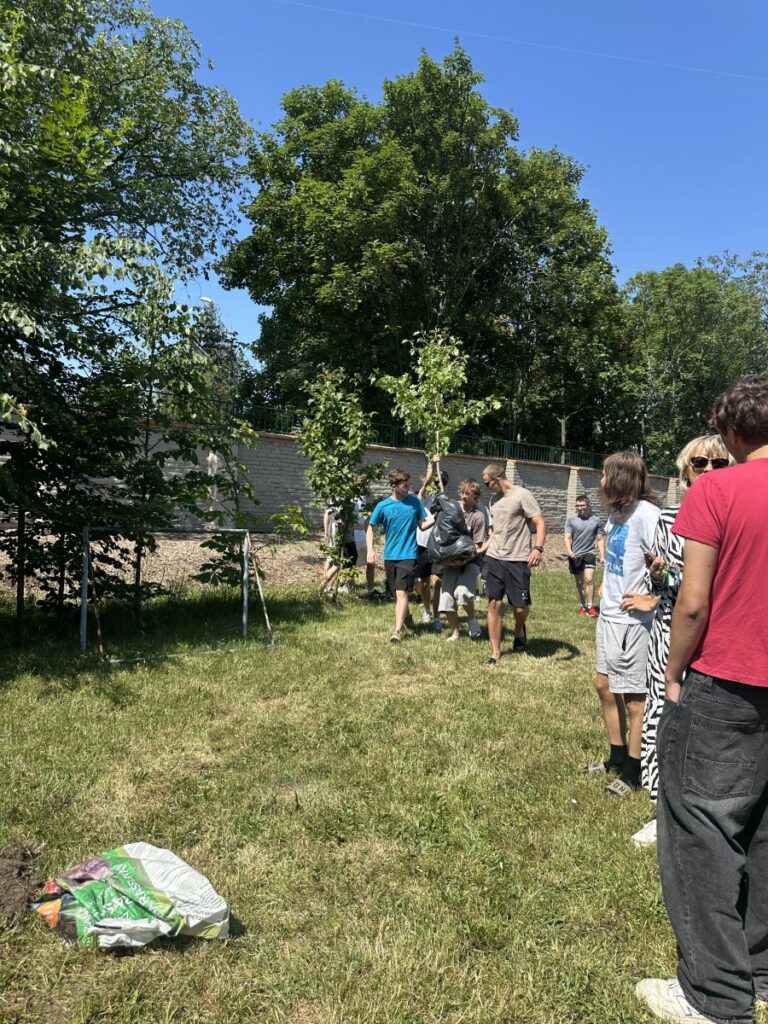 IMG 0886