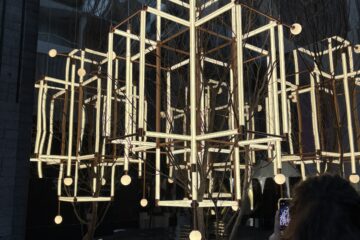 IMG 3587