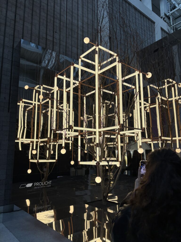 IMG 3587