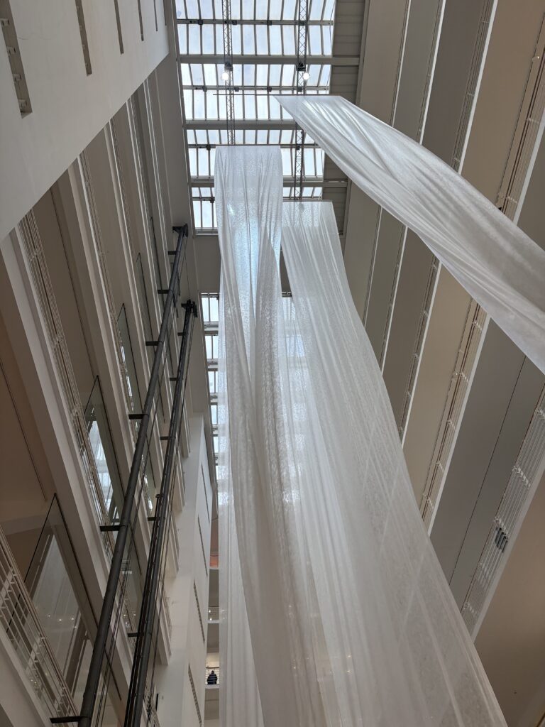 IMG 3594